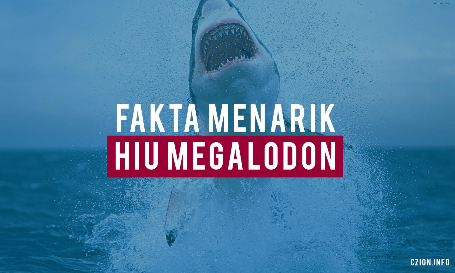 Fakta Unik Dan Menarik Hiu Purba Raksasa Megalodon Czign Tech