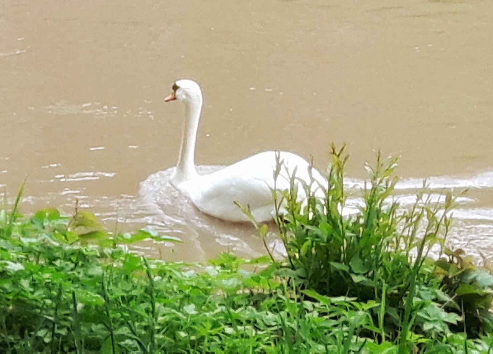 The Gondola Blog Tubingen Today