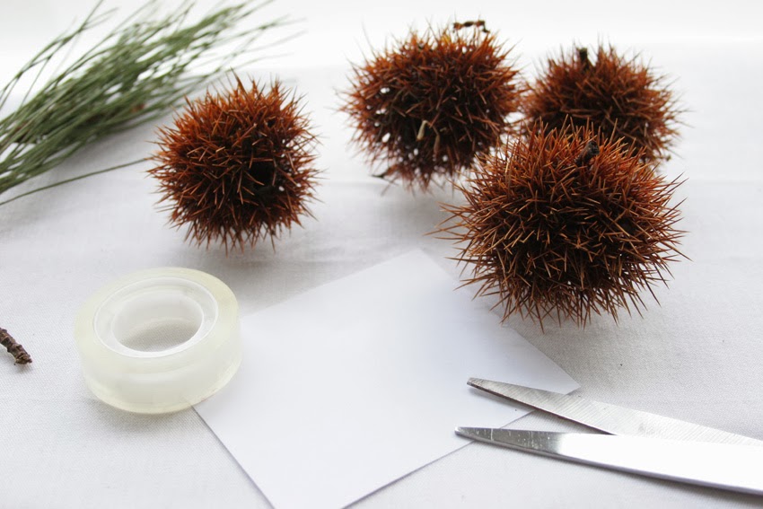 Manualidad: Erizo con cáscara de castaña2