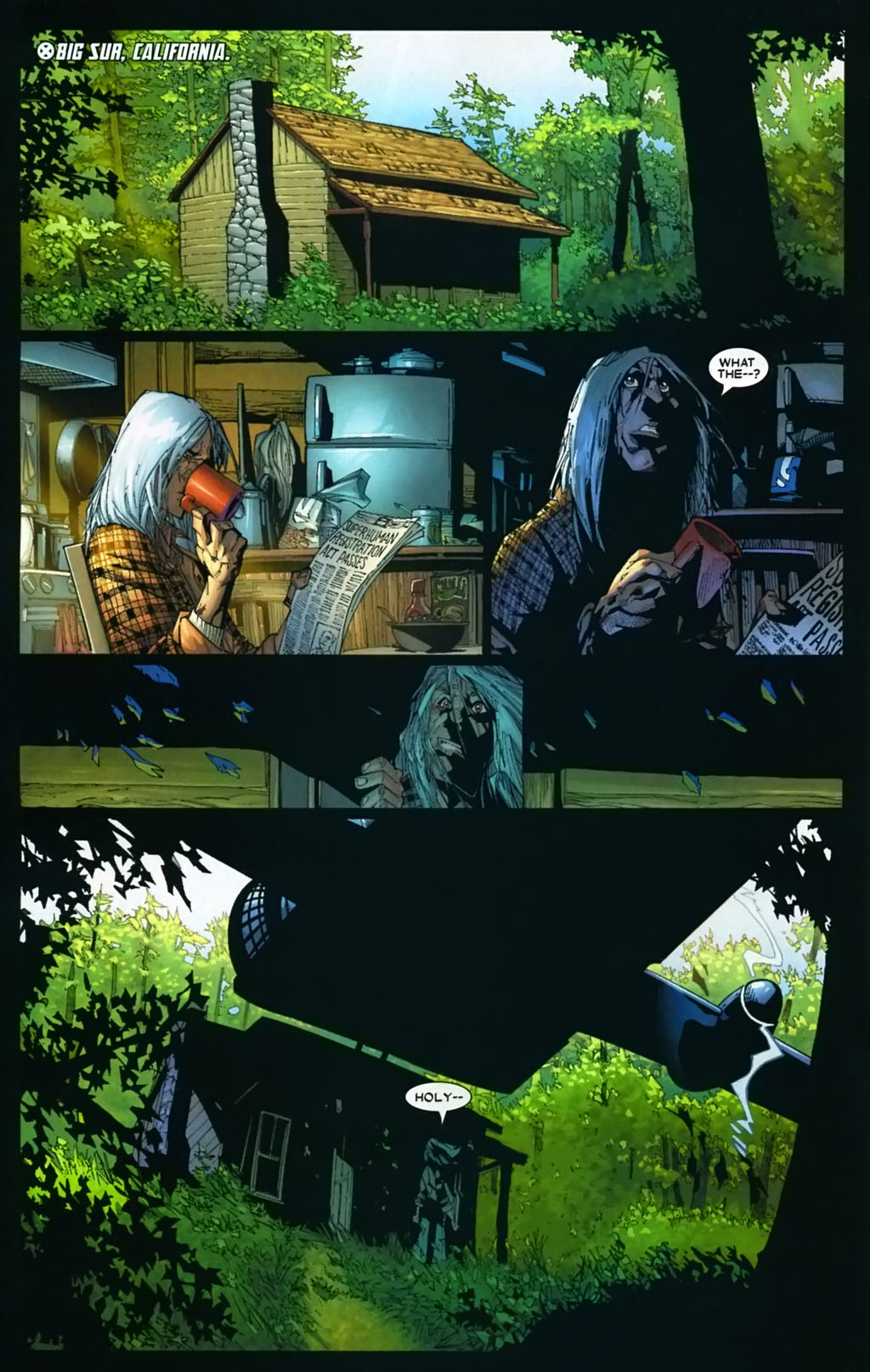 Wolverine (2003) issue 43 - Page 14