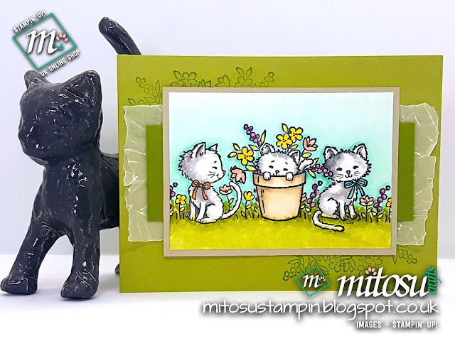 Stampin' Up! Pretty Kitty SU Card Idea order craft products from Mitosu Crafts UK Online Shop