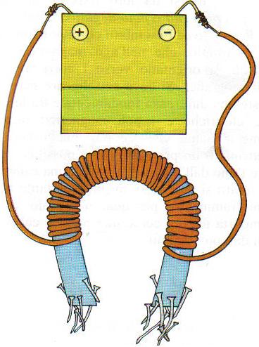 L'ELETTROMAGNETISMO e le sue applicazioni