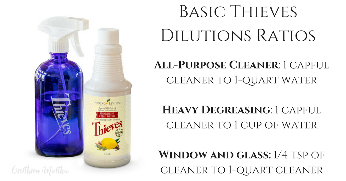 How to Clean an Oven with Young Living Thieves Household Cleaner