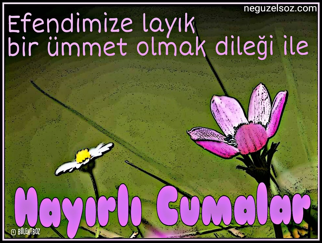 Güzel resimli cuma mesajları indir ve facebook paylaş Güzel resimli cuma mesajları indir ve facebook paylaş