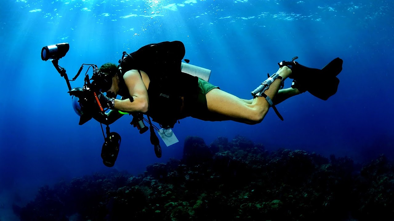 Underwater Photography Schools Photo Choices