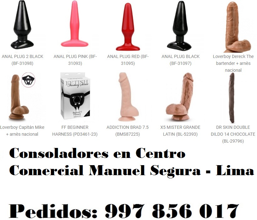 en Centro Comercial Manuel Segura - Lima