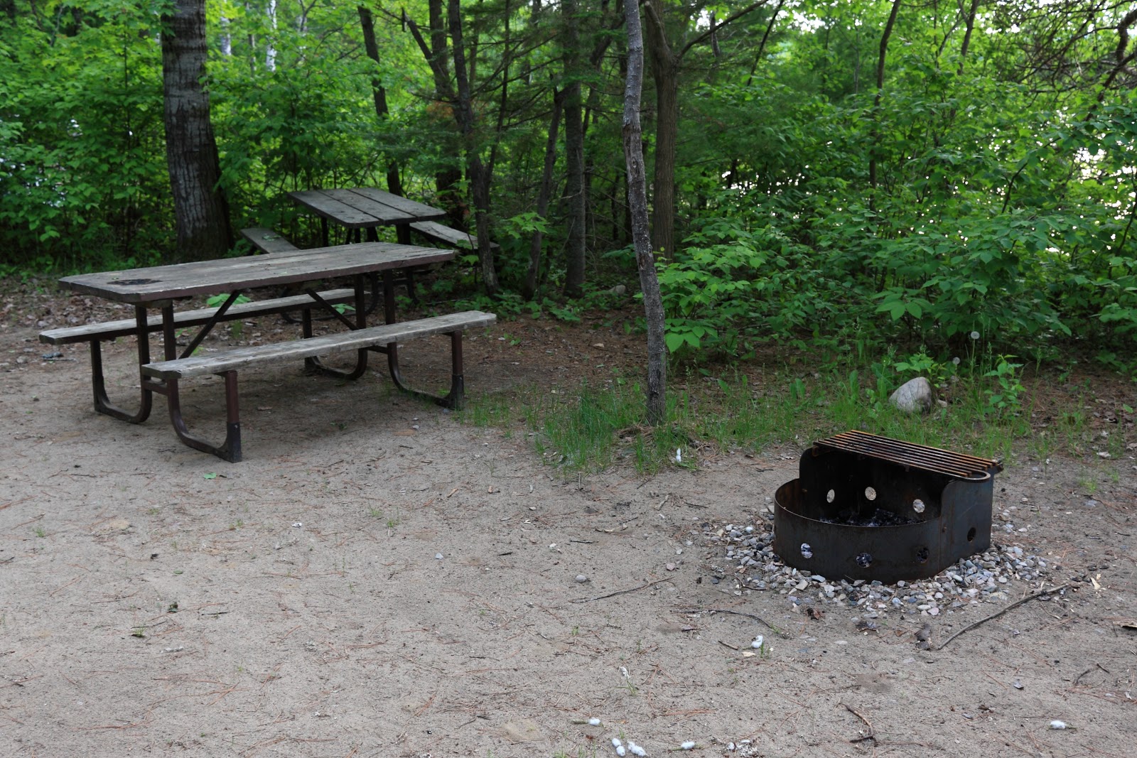 The Campsites Driftwood Ontario Provincial park, site 14