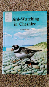 Bird Watching in Cheshire