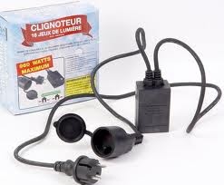 Deux clignoteurs pour guirlande