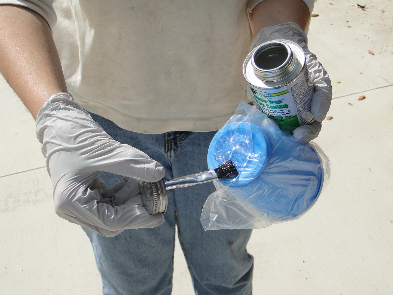 Trapping Deer Flies in Livingston County, Michigan making and using