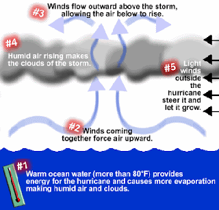 How are Hurricanes Created?
