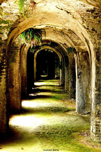 Le cryptoportique de Sorde l Abbaye sorde l abbaye village classé unesco
