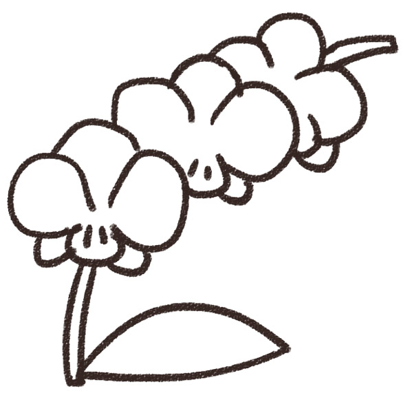 ラン 胡蝶蘭のイラスト 花 ゆるかわいい無料イラスト素材集