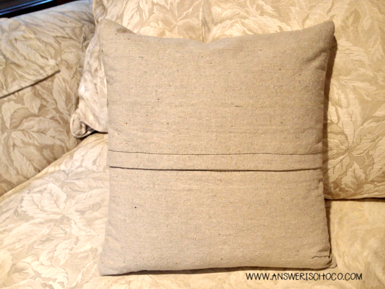 The Answer Is Chocolate Simple Sewing HTV Drop Cloth Pillows
