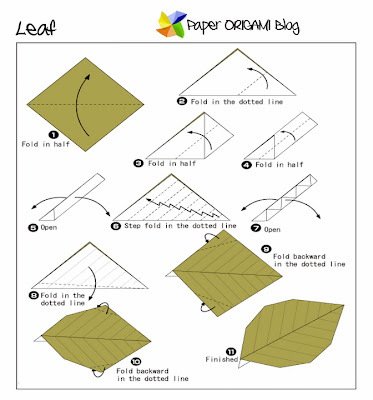 Leaf Diagram