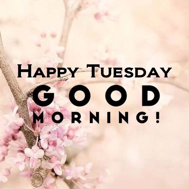 Happy Tuesday Images