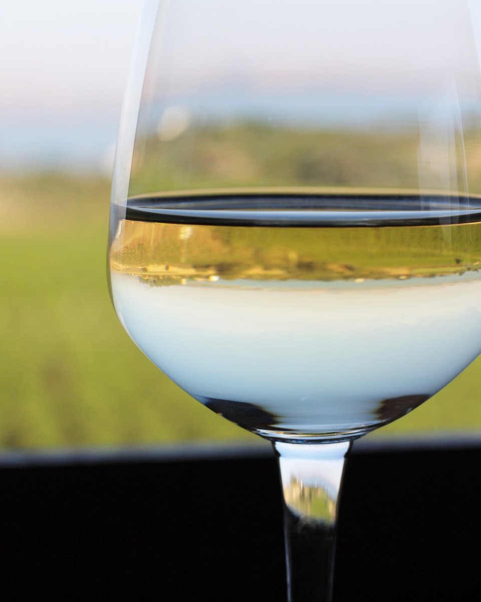 Wine Tasting for Dummies Wine 101