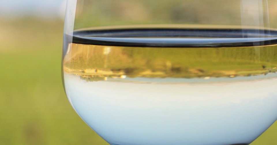 Wine Tasting for Dummies Wine 101