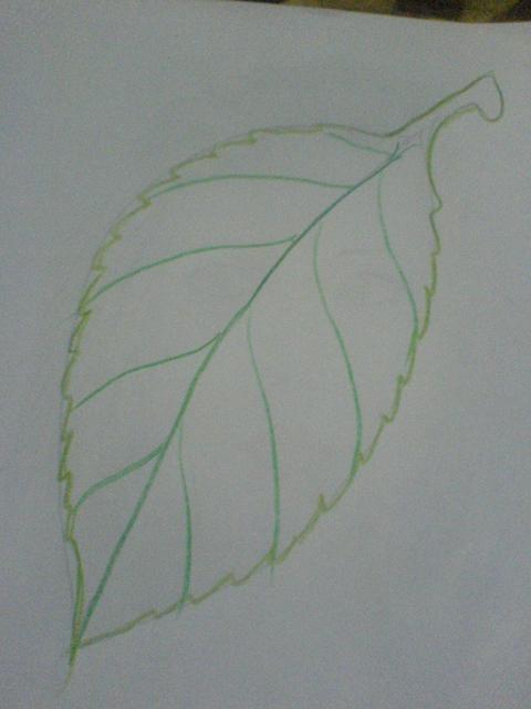 فنون تعلم رسم ورقة شجرة بطريقة مبتكرة و بسيطة بالصور