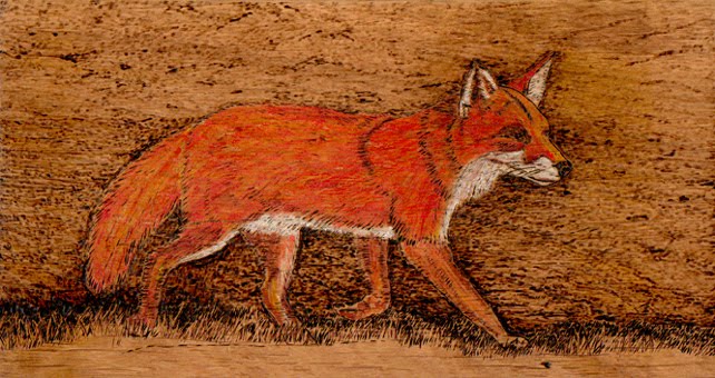 Pyrography Fox Red Lab Burning Desire: Pyrography and Scroll Saw: Pyrography: Adding Colour