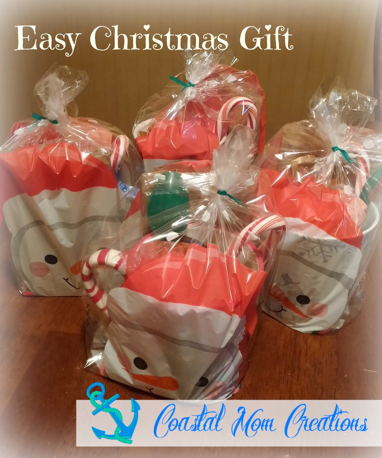 Coastal Mom Creations: Quick & Cheap Christmas Gift Idea