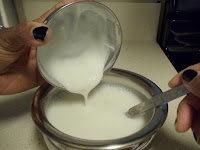add curd starter to lukewarm milk