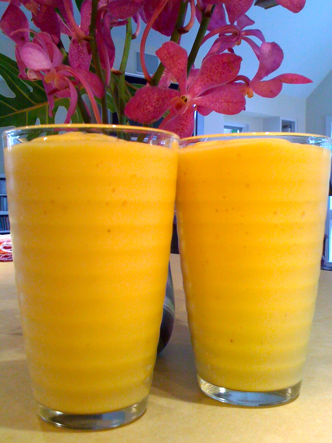 Roxie's World Smoothie/Ruby Tuesday