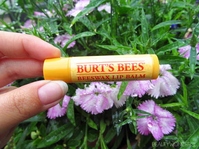 labial Burts bees review 