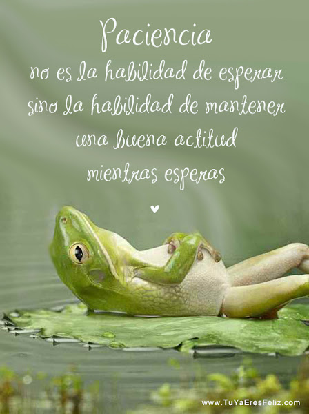 La paciencia, la madre de la ciencia.