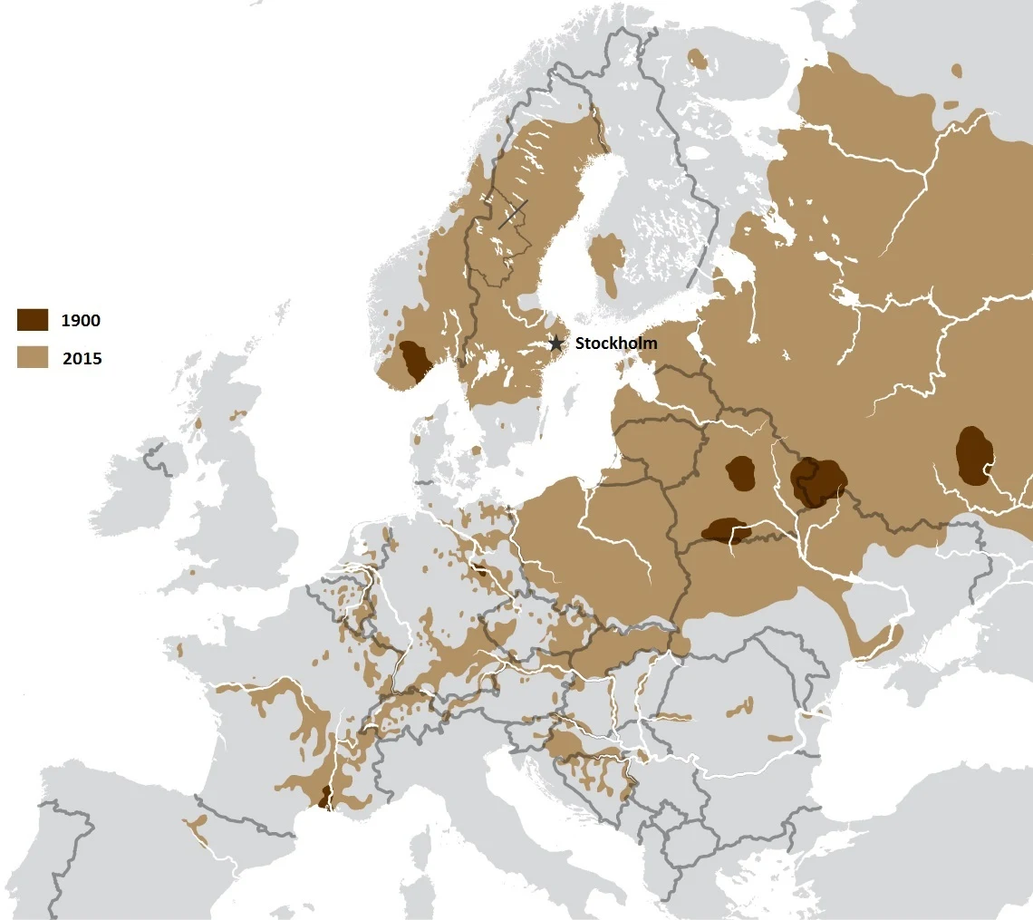 The expanding range of the Eurasian Beaver in Europe