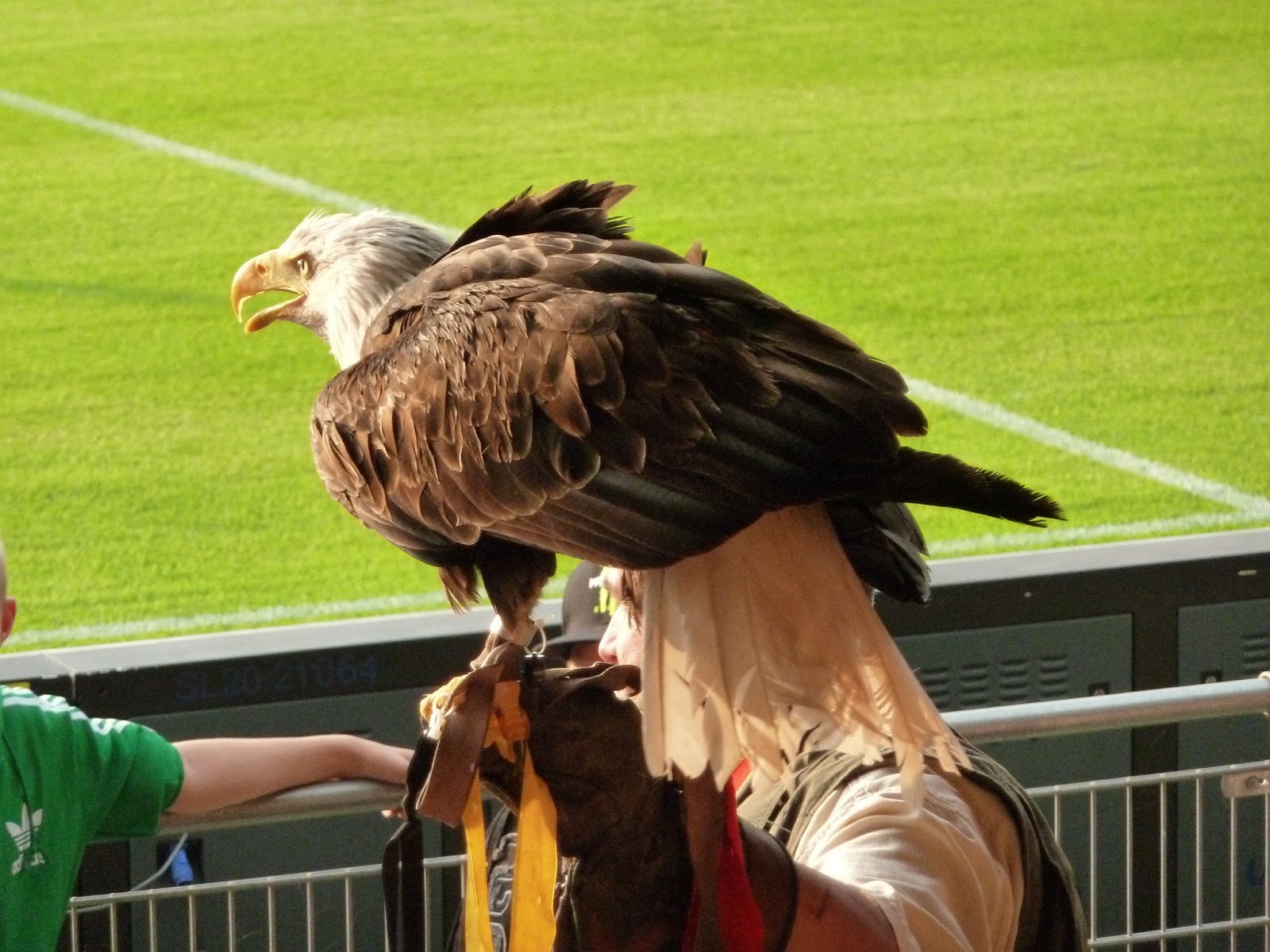 Extreme Football Tourism: NETHERLANDS: DVV Go-Ahead (1920-1971) / Go
