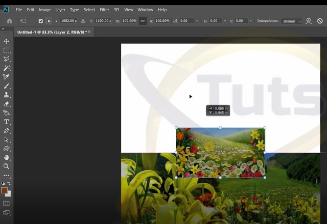 How to Blend Multiple Pictures Automatically in Adobe Photoshop CC