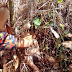 Misteri Budak 2 Tahun Di Jumpai Di Hutan