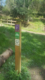 A Firecrest trail marker at Wendover Woods