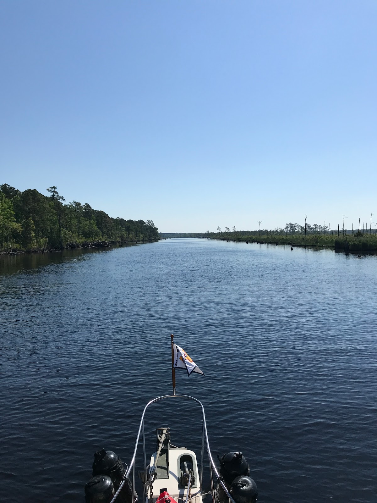 Viridian News & Views Alligator River,NC