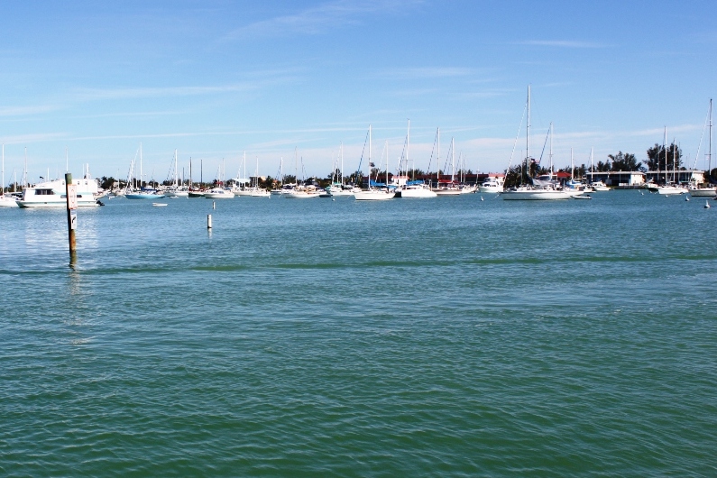 Adventures of Great Laker