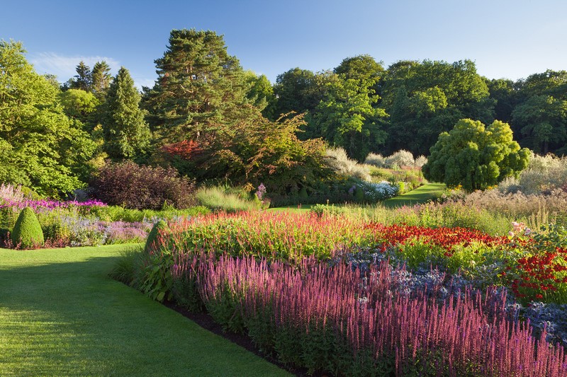 The Main Borders FOTO ©RHS/Lee Beel. RHS Harlow Carr The Main Borders FOTO ©RHS/Lee Beel.