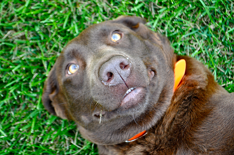 Grace | My Darling Days Grace | My Darling Days