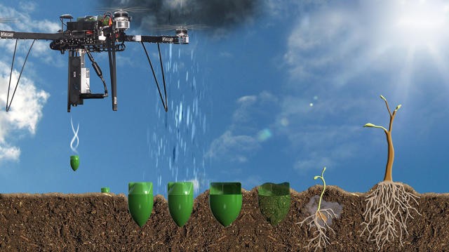 Ex-NASA engineer to plant one billion trees a year using drones Ex-NASA engineer to plant one billion trees a year using drones