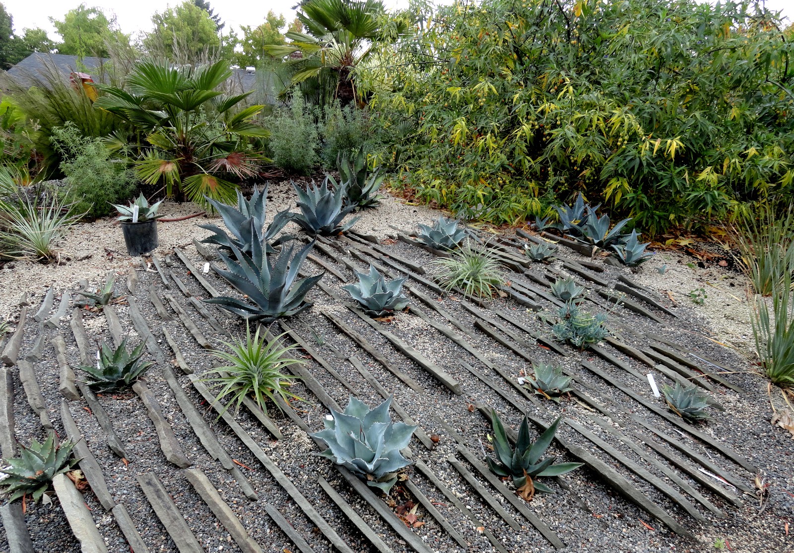 Black Rocks For Landscaping - Landscape Ideas