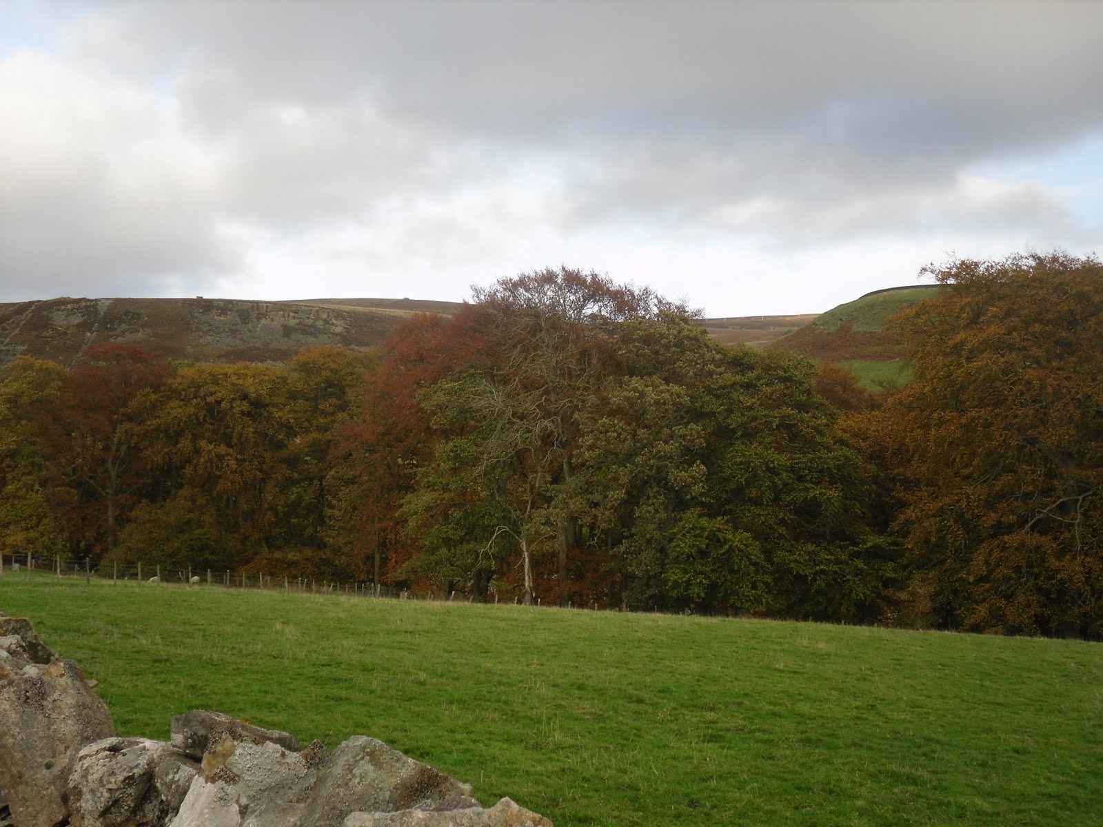 Rambling Nana Stanhope & Wolsingham Park Moor