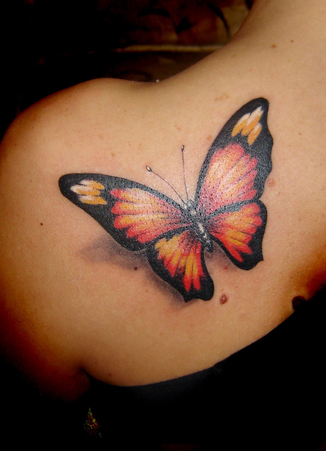 Are Butterfly Tattoos A Trend? – TREB