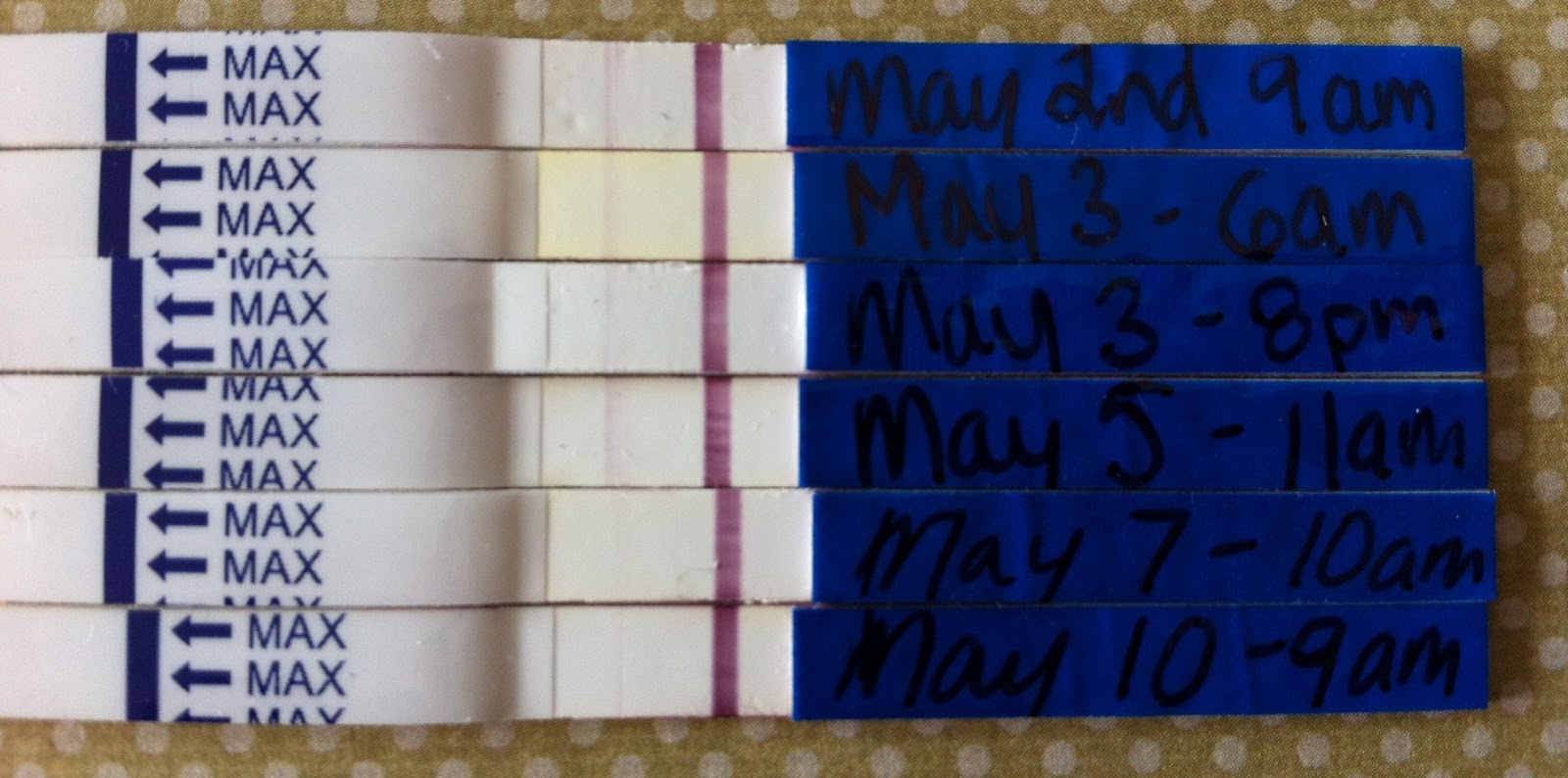 The Crafty Infertile's Journey through Infertility with Pcos False +'s