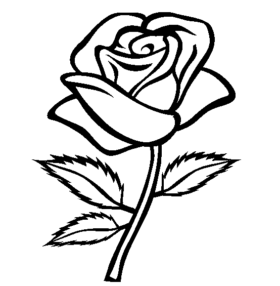 a rose coloring pages - photo #2