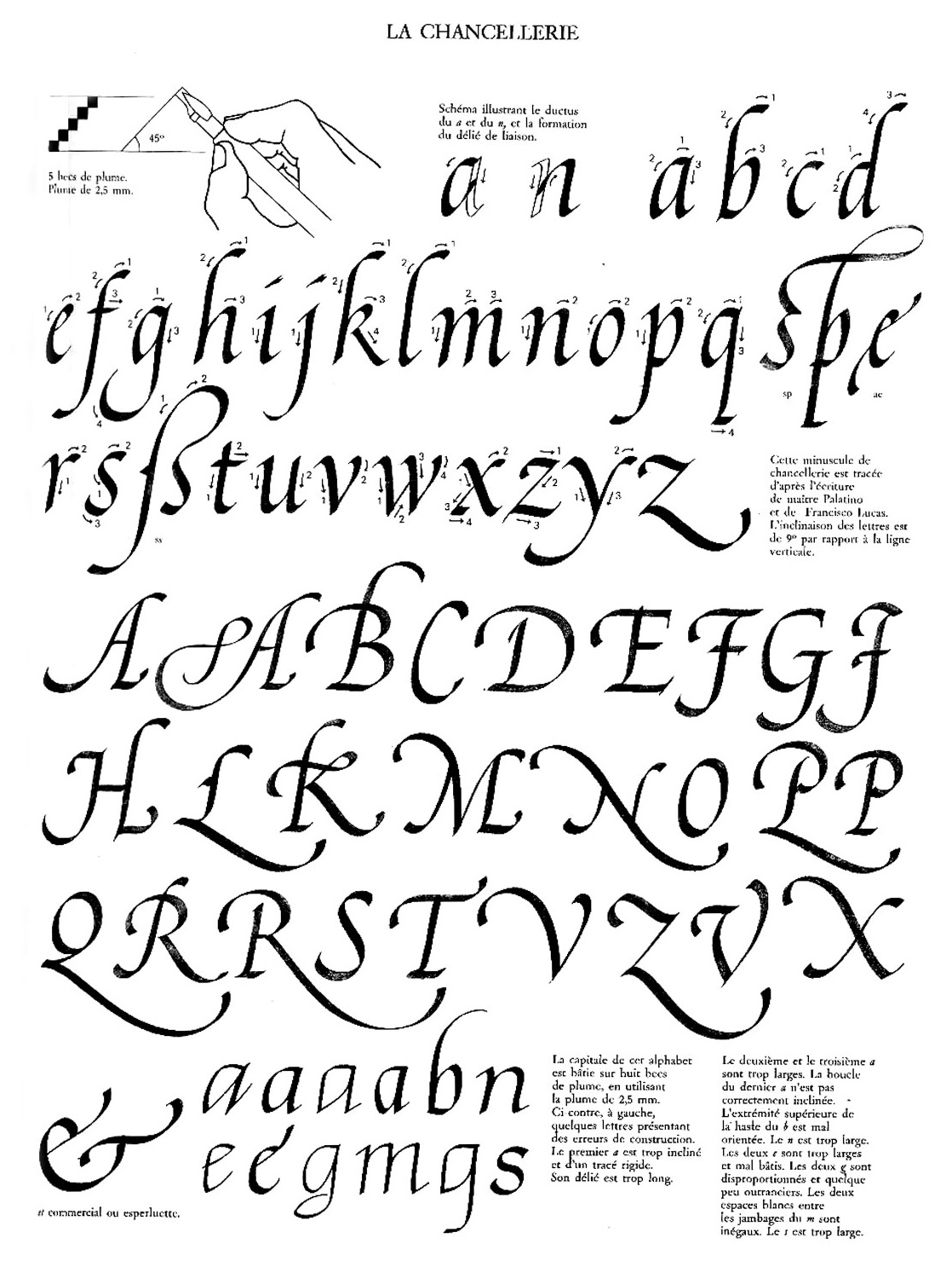 Enthusiastic Lowercase Alphabet Caligraphie Lettering Lettrage