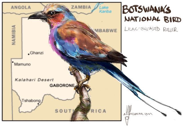 Botswana's and Kenya's National Bird Painting by Ulf Artmagenta