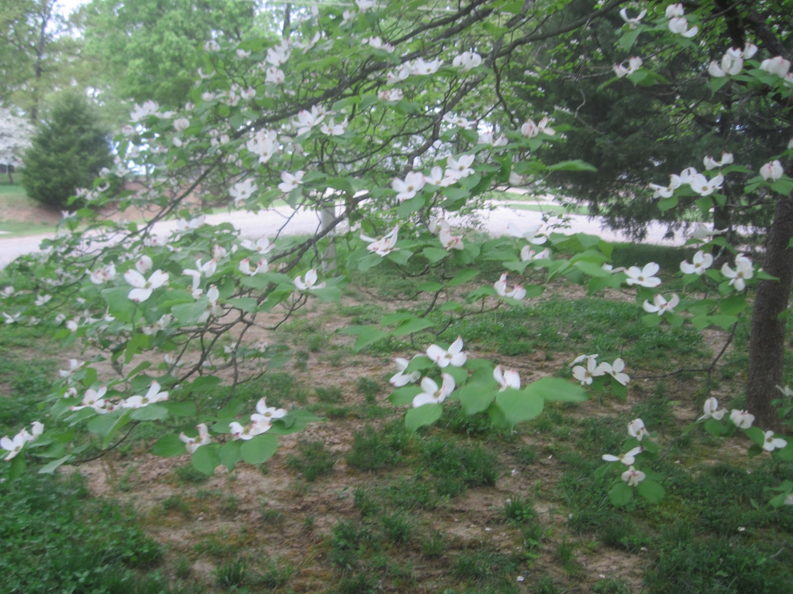 The Schramm Journey Farmington, Missouri