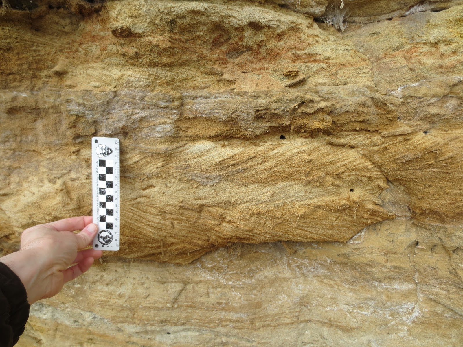 Equatorial Minnesota Further adventures in the Mazomanie