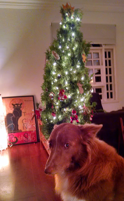 ping hoofer stand golf bolsa