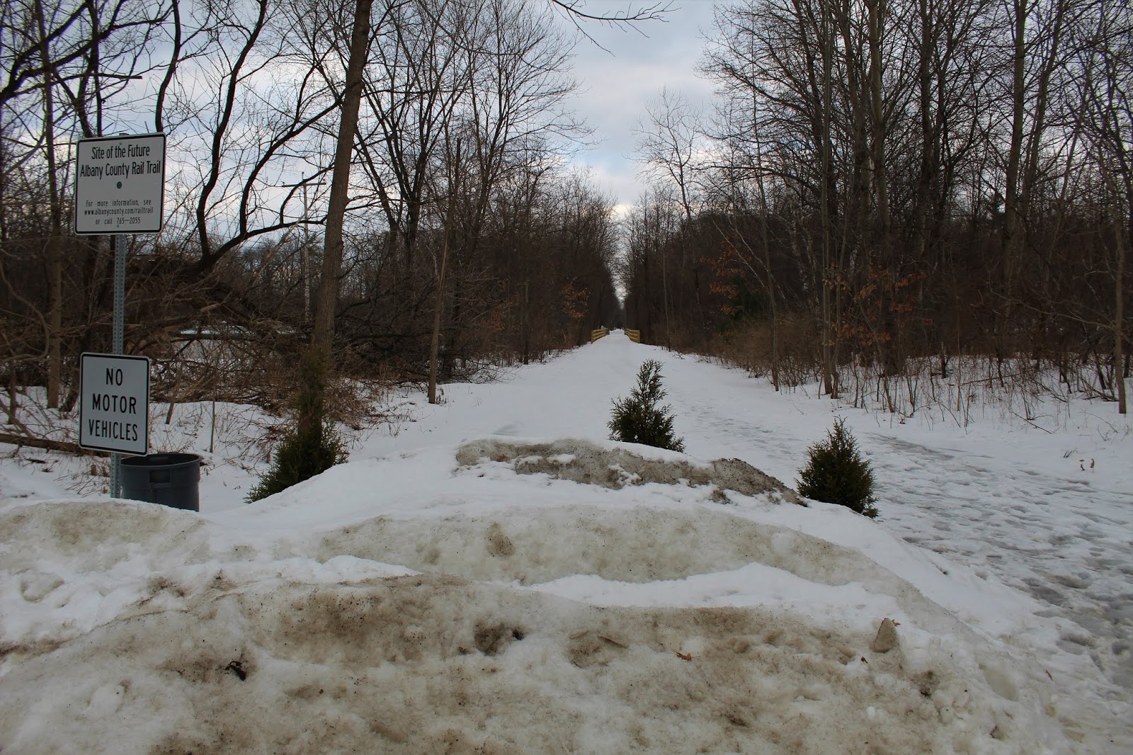 Walking Man 24 7 Albany County Rail Trail(Voorheesville)